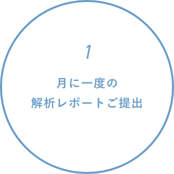 月に一度の解析レポートご提出